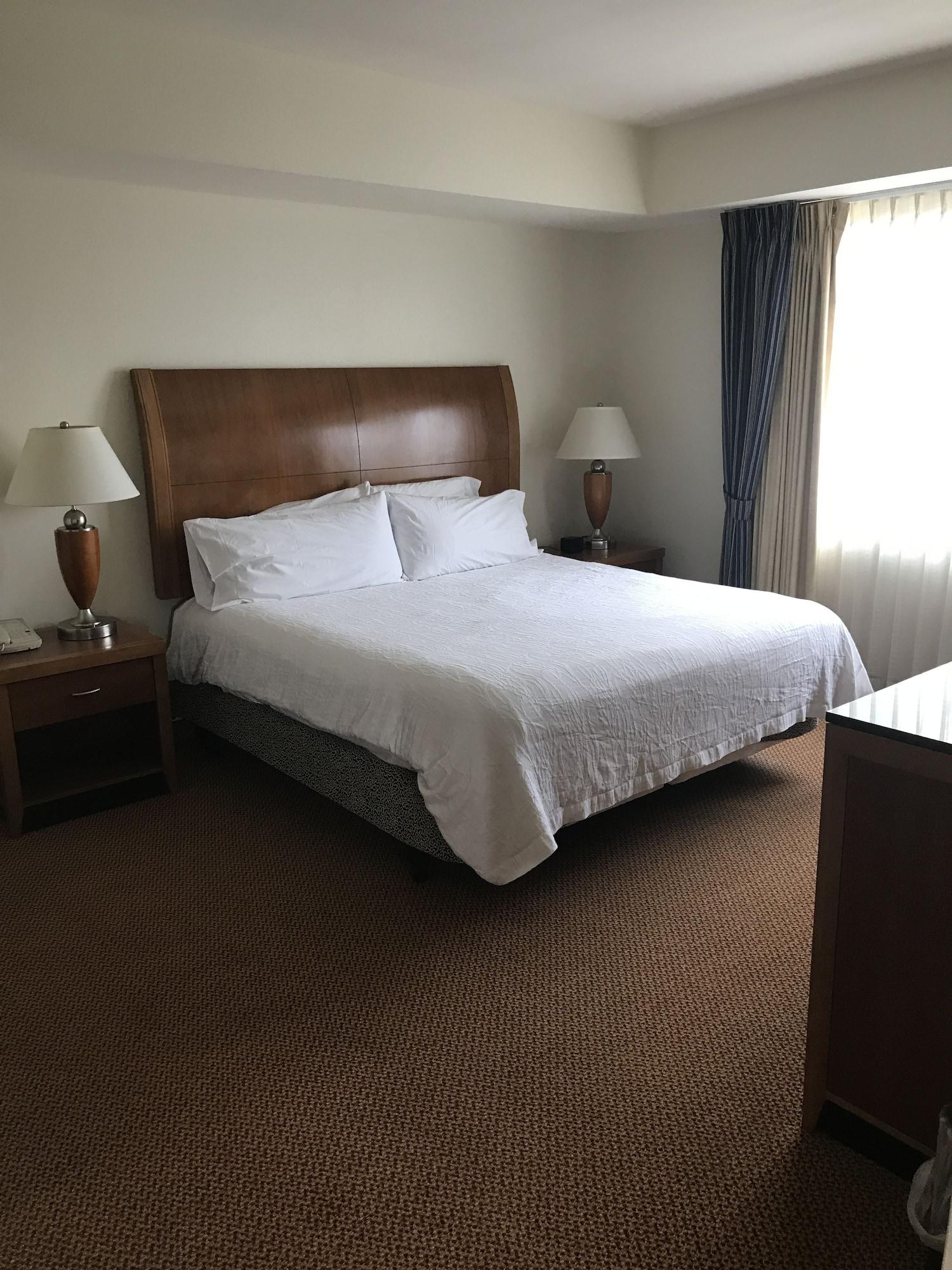 Hilton Garden Inn Ithaca Exterior photo